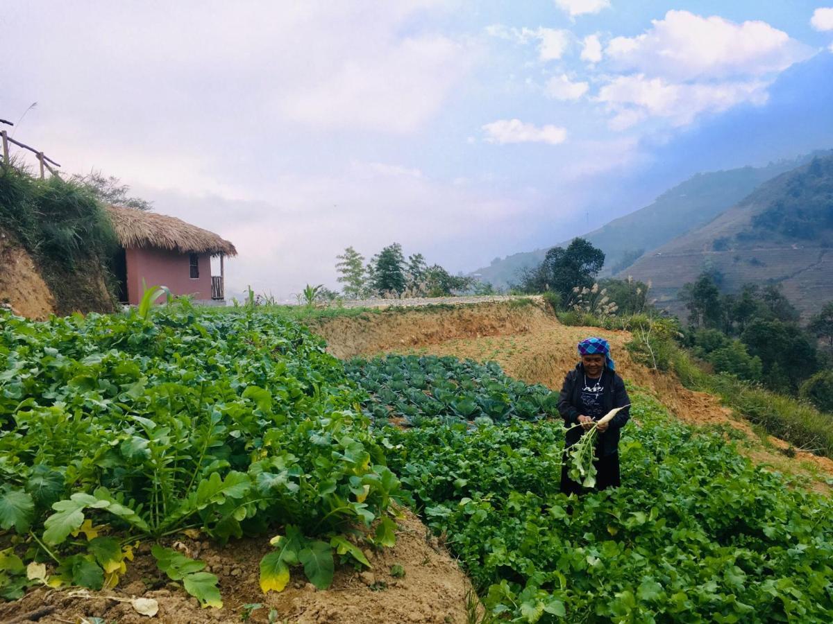 Chapa Farmstay - Mountain Retreat Sapa Exterior foto