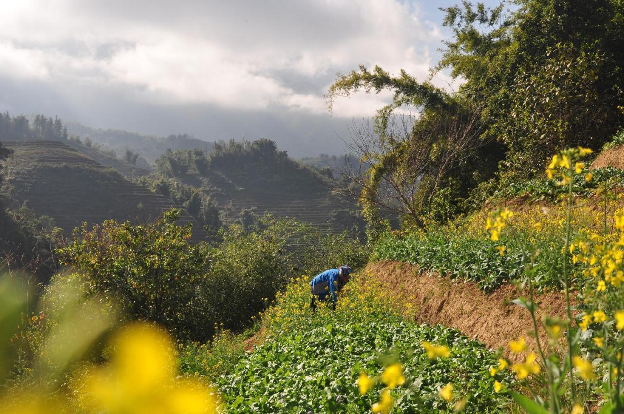 Chapa Farmstay - Mountain Retreat Sapa Exterior foto